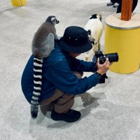 takahirohiguchi (@hgctkhr) 's Twitter Profile