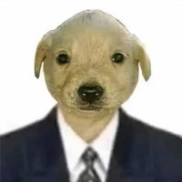 Precambrian Creature (@mozartisinhell) 's Twitter Profile Photo Precambrian Creature (@mozartisinhell) 's Twitter Profile Photo
