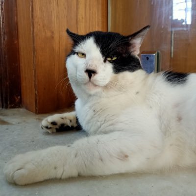 prithviiii7's profile picture. bio nahi maths lena chahiye tha