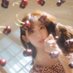 🍒 (@1rhko_) Twitter profile photo 🍒 (@1rhko_) Twitter profile photo