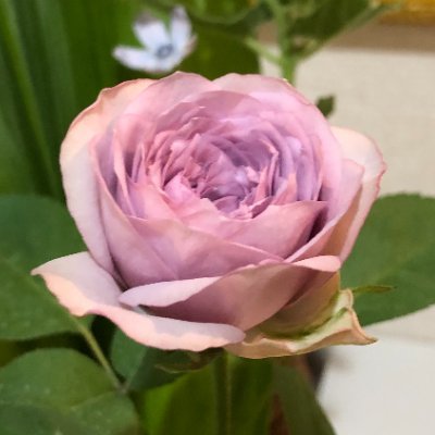 Mn1aJj's profile picture. 