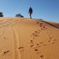 Packer M (@packer_an) 's Twitter Profile