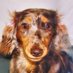 PO犬🐶™ ぴーおーいぬ/ぽいぬ (@eae9bxifoddwkue) Twitter profile photo PO犬🐶™ ぴーおーいぬ/ぽいぬ (@eae9bxifoddwkue) Twitter profile photo