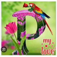 ⚘🕊_Payell_🕊⚘ (@payel67183714) 's Twitter Profile Photo