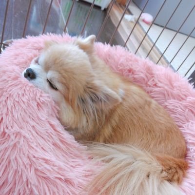 とうたさんのプロフィール画像