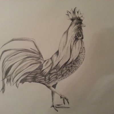 wrudyka's profile picture. Temet nosce