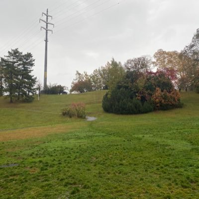 q9iVBTjvYI8175's profile picture. 