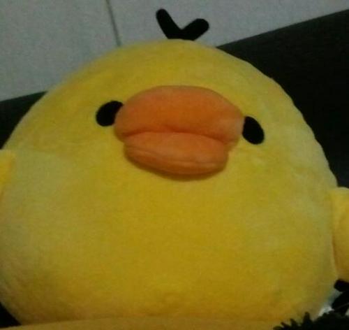 diamondheadlove's profile picture. ハワイに恋してしまいました。いつかハワイに住めることを夢にがんばるぞ！！よろしくお願いします。