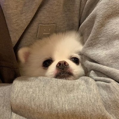 BumsooPark1331's profile picture. 