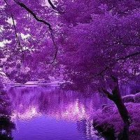 Yassin (@yassiny60228739) 's Twitter Profile