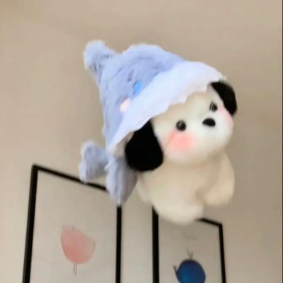 ktmunii's profile picture. ขอให้แมวทุกตัวมีบ้าน