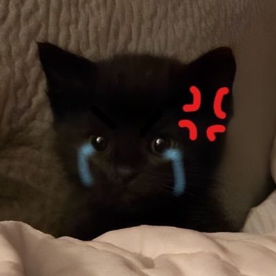 privmaisaanx's profile picture. @maisaanx private acc