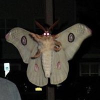 amar’e 🔻 (@marluvsrap) 's Twitter Profile