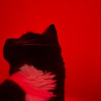 geo (@geotelevisionn) 's Twitter Profile Photo geo (@geotelevisionn) 's Twitter Profile Photo
