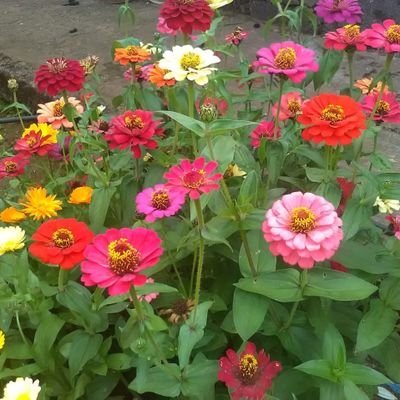 kannansaai24573's profile picture. 