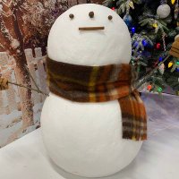 โ๐๐๐.๐โ (@snowjun49) 's Twitter Profile
