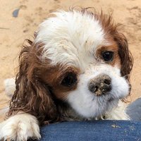 Harvey 🩷💙🦴 (@harveybones) 's Twitter Profile
