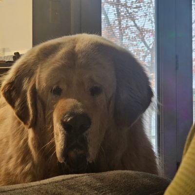 PeeEyeZeeZeeWhy's profile picture. Burn it