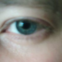 Max Dunbar (@maxdunbar1) 's Twitter Profile