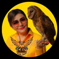 CEP Reborn (@cep_reborn) 's Twitter Profile