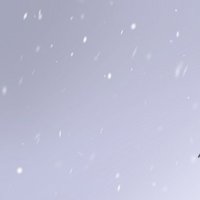 10:23 (@10_23_10_23_) 's Twitter Profile Photo