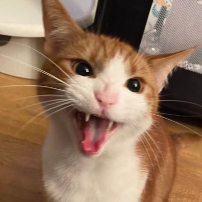 mine nambe franks an im beed 3 yearce of olde!! bige brothor too an hoom,, littol babbey too mine momb. mine huspont beed @TheCrustyCash 💘🫶