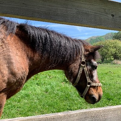 uma16kusa18yu's profile picture. 