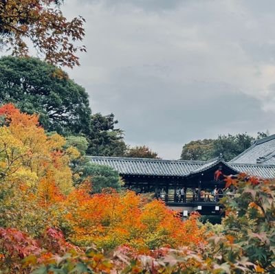 MITv21560's profile picture. 