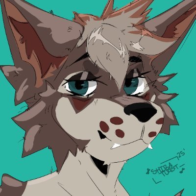 Leuko Profile
