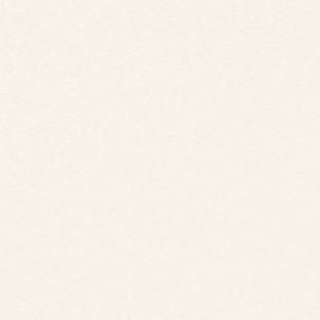 jia90711's profile picture. 