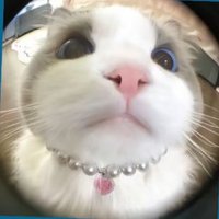 いちのせちゃん。 (@qyriii_) Twitter profile photo