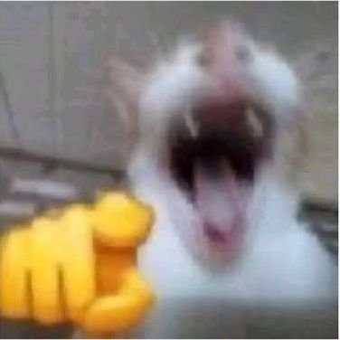 vika_yapz's profile picture. 