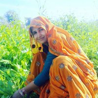 Anuradha Meena (@anuradha_zp) 's Twitter Profile Photo