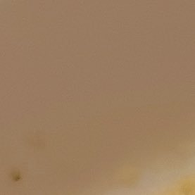 kokorogawari123's profile picture. 169.23.60 岡山