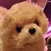 tane3@👶🌸10m✨✨ (@pennennennen21) Twitter profile photo tane3@👶🌸10m✨✨ (@pennennennen21) Twitter profile photo