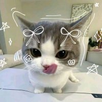 bluboi 🍳 (@v2cher72) 's Twitter Profile Photo bluboi 🍳 (@v2cher72) 's Twitter Profile Photo