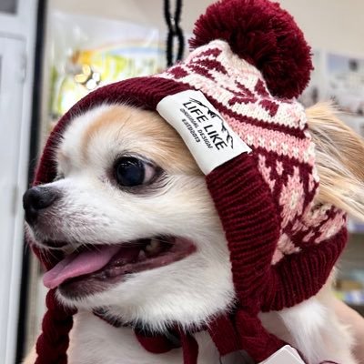 Ryu1081590's profile picture. 27歳フリーランスエンジニアです。Typescript/React/Next.js/Go/AWS 東京在住。技術的なこと&フリーランスの日常を呟きます。