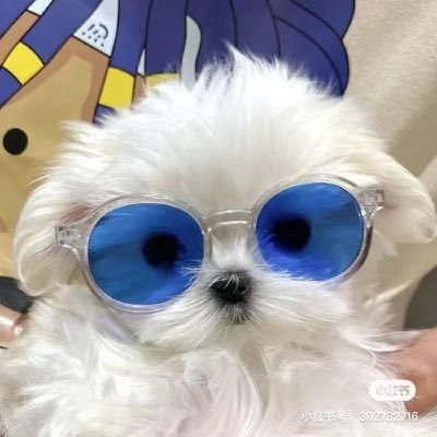 ydib276861's profile picture. 