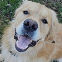 🇺🇸⭐️Clnsbrew⭐️🇺🇸 (@clnsbrew) 's Twitter Profile
