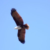 Gervais Habarugira (@gervaisha) 's Twitter Profile