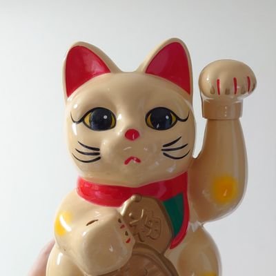 金子ネコです。架空の劇団:CR東京残酷物語の作家。目の小さい、気弱な成人女性です。岐阜県産。私の演劇をつくります。見えない煙草を吸うんだぜ。(呟いていることはだいたいポエムです。気にしないでください)【今年の目標】ラブリーに生きる/何かの免許を取る㉝