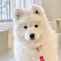lauvb (@hlauvb) 's Twitter Profile