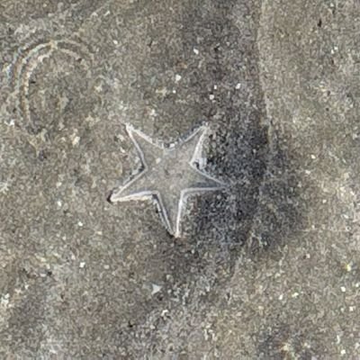 Himabito0531's profile picture. 2025/1/1開設🐦️新NISA民💩オルカン積立頑張る💰️ニセナス少々🍆貯金が苦手💸✨️