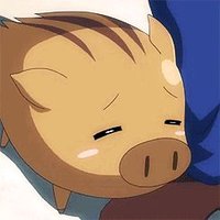 Beni/Eurolechon🇪🇦 (@benieurolechon2) 's Twitter Profile Photo