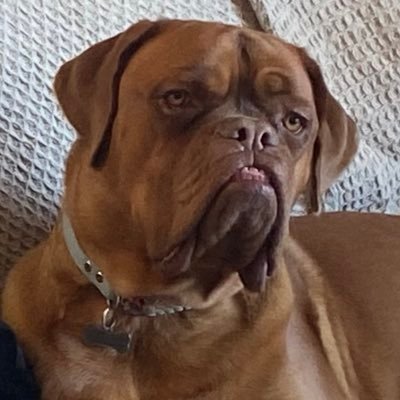 titelrnick's profile picture. 