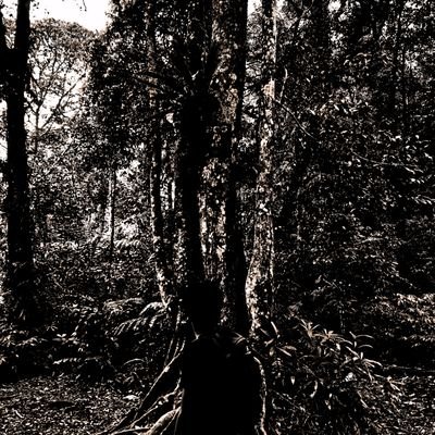 liif_12's profile picture. ADL @AngryDynomites
𝔽rAI @FractionAI_xyz
 @nexchain_ai