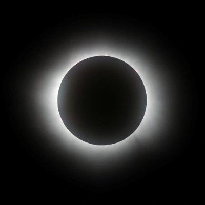 nezuohS's profile picture. 