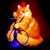 Ray Peat HubblyBubbly Emporium ✝️ (@raypeatheadshop) Twitter profile photo Ray Peat HubblyBubbly Emporium ✝️ (@raypeatheadshop) Twitter profile photo