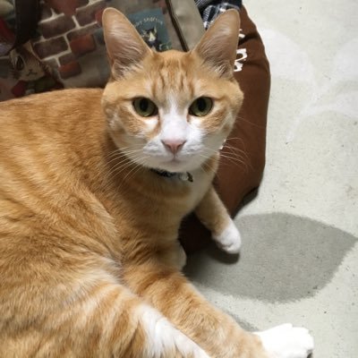 yukichi_h18_7's profile picture. 