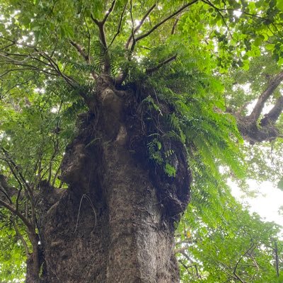 Gc1UdM2GEq53651's profile picture. 